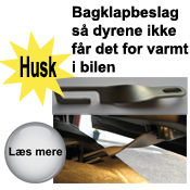 Bagklapbeslag til bilen