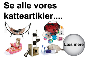 Masser af katteartikler