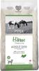 Pure Dog Horse - Hest Kingsmoor