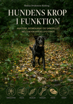 Hundens krop i funktion