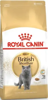 2 kg Royal Canin Kat British Shorthair Adult