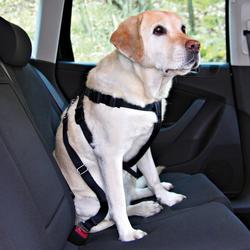 Bilsikkerhedssele til hund