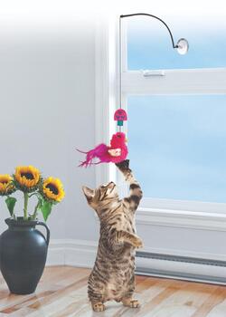 Kong Cat Window Teaser - til rude og køleskab