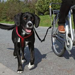 Afstandsholder til cyklen - De luxe. Luksusudgaven af afstandsholdere til cykler, egnet til store og tunge hunde.