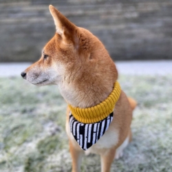 Hello Pets charmehalstørklæde - RESTSALG