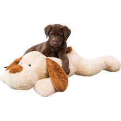 Lagring At læse pustes op Hundelegetøj - se Dyrelagerets store udvalg af billigt og godt legetøj til  hunde - se gode tilbud