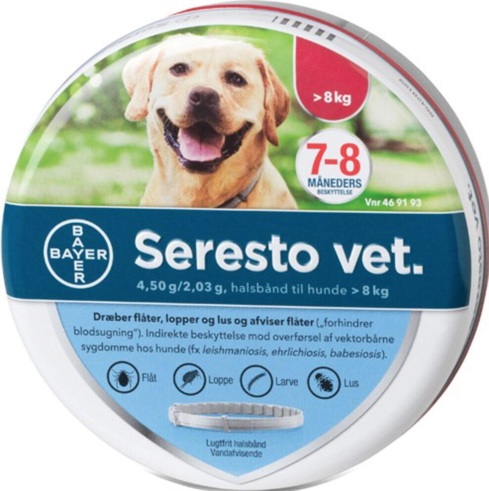 At adskille Betaling elektrode Seresto Vet halsbånd til hund, str. >8 kg (stor) - dyrelageret.dk