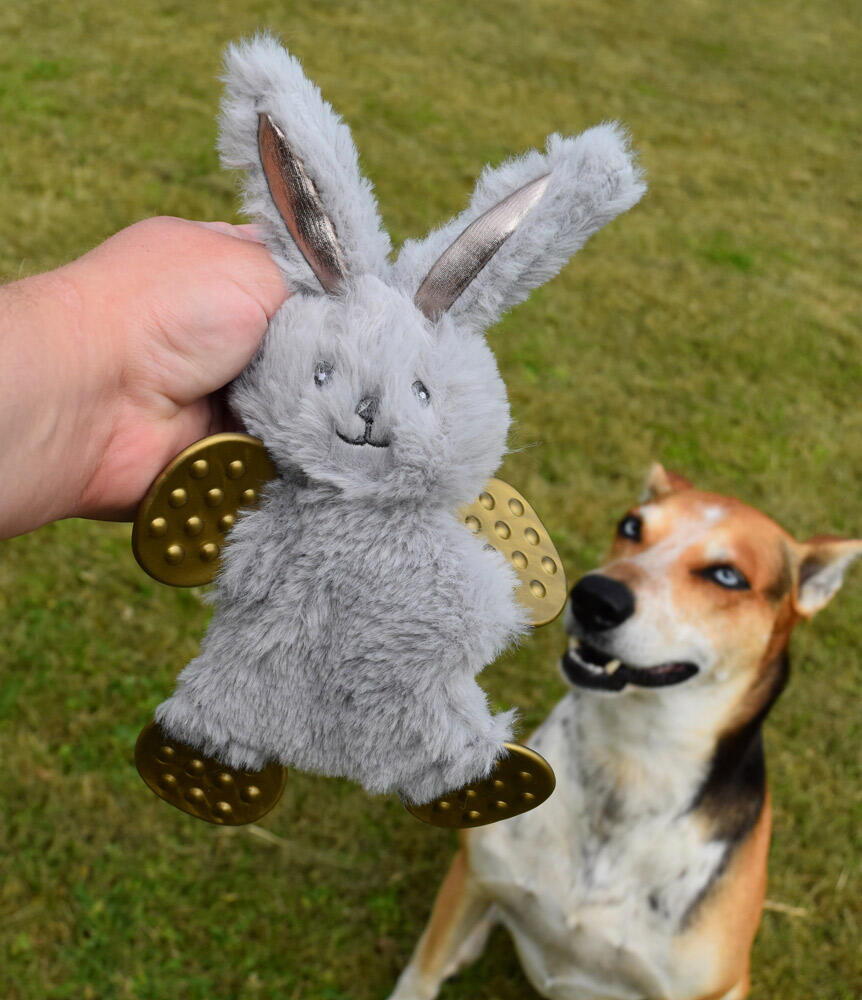 duft offentlig velsignelse BEST FRIEND Cutie Dog Plush Toy - dyrelageret.dk