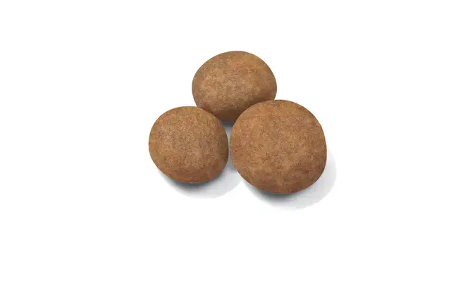 Royal Canin Maxi Puppy Tørfoder til Hvalp 15 kg