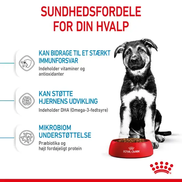 Royal Canin Maxi Puppy Tørfoder til Hvalp 15 kg