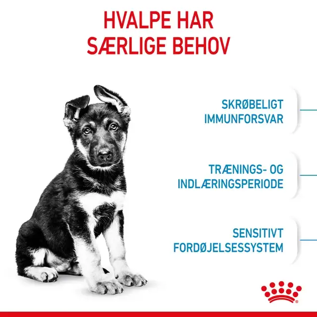 Royal Canin Maxi Puppy Tørfoder til Hvalp 15 kg