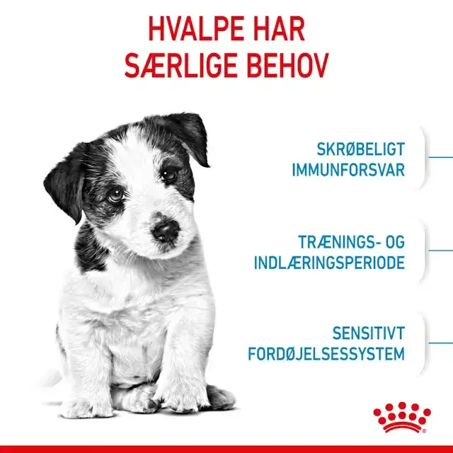 Royal Canin Mini Puppy tørfoder til hvalp 8 kg