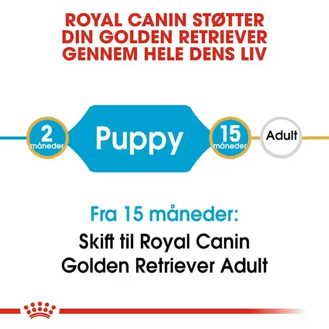 Royal Canin Golden Retriever Puppy tørfoder til hvalp 12 kg