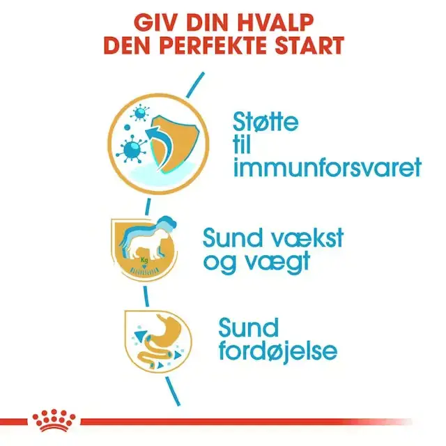 Royal Canin Labrador Retriever Puppy tørfoder til hvalp 12 kg