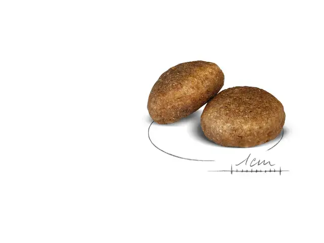 Royal Canin Maxi Adult tørfoder til hund 3 kg