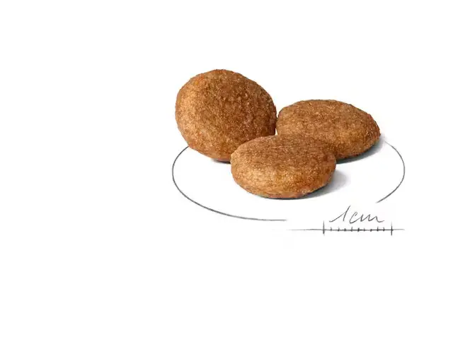 Royal Canin Medium Adult tørfoder til hund 12 kg