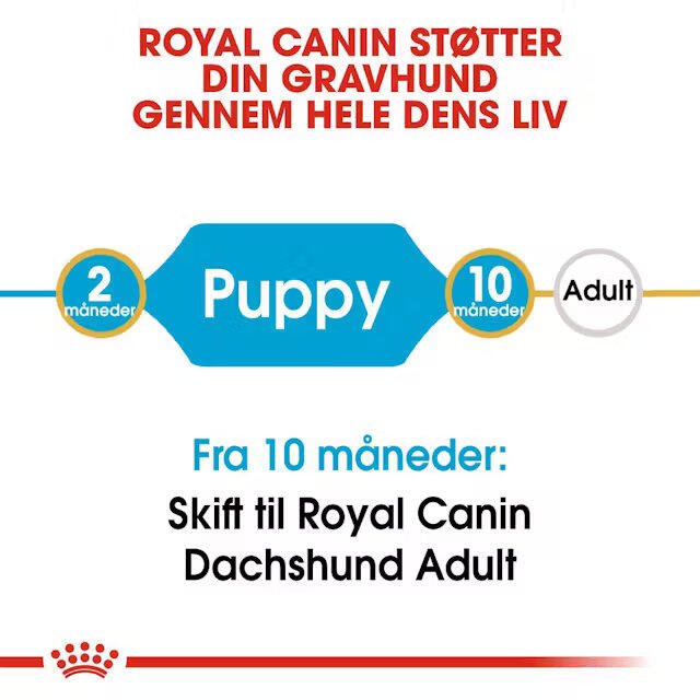 Royal Canin Dachshund Puppy 1,5 kg