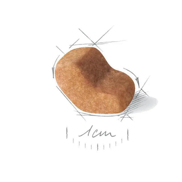 Royal Canin Shih Tzu Adult 1,5 kg