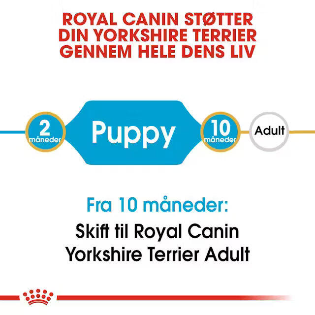Royal Canin Yorkshire Terrier Puppy 1,5 kg
