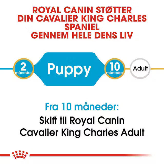 Royal Canin Cavalier King Charles Puppy 1,5 kg