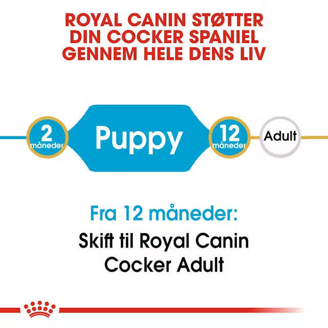 Royal Canin Cocker Puppy 3 kg