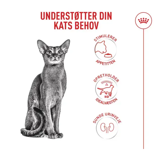 Royal Canin Kat FUSSY 10 kg