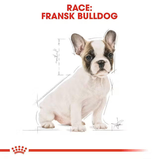 Royal Canin French Bulldog Puppy 3 kg
