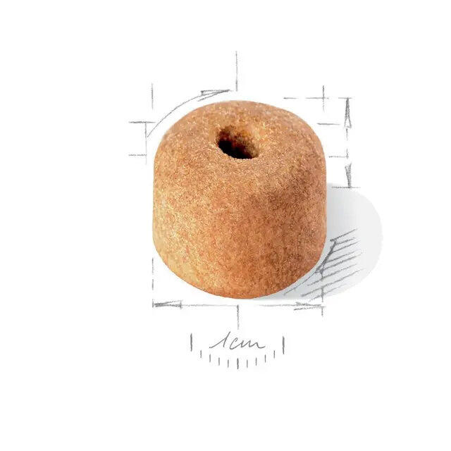 Royal Canin Labrador Retriever Sterilised 12 kg