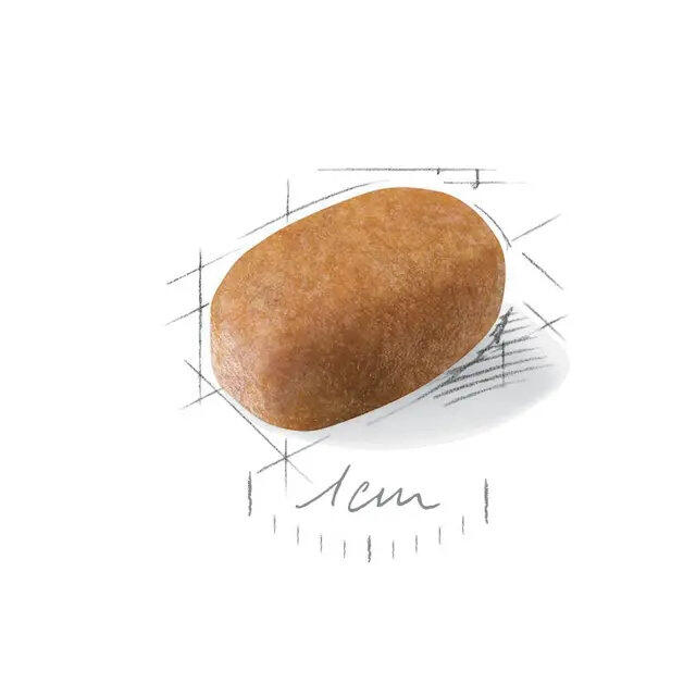 Royal Canin Maltese Adult 1,5 kg