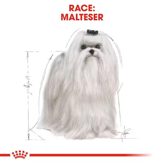 Royal Canin Maltese Adult 1,5 kg