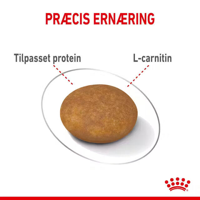 Royal Canin Light Weight Care X-SMALL 1,5 kg