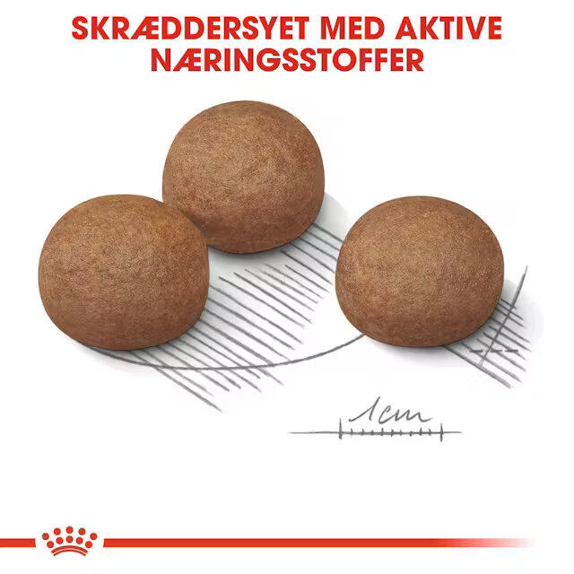 Royal Canin Digestive Care Maxi 12 kg