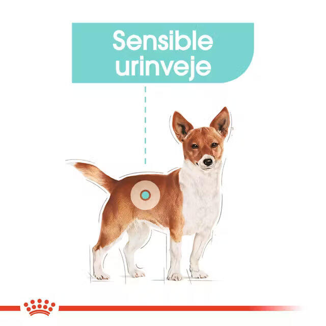 Royal Canin Urinary Care Mini 3 kg