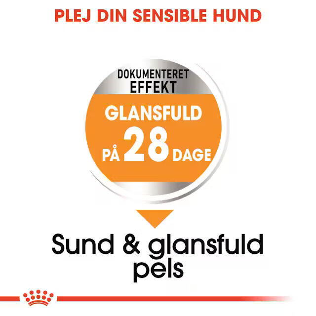 Royal Canin Coat Care Mini 3 kg