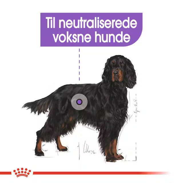 Royal Canin STERILLISED Maxi 12 kg