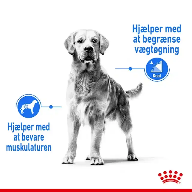Royal Canin Light Weight Care Medium Adult tørfoder til hund 3 kg