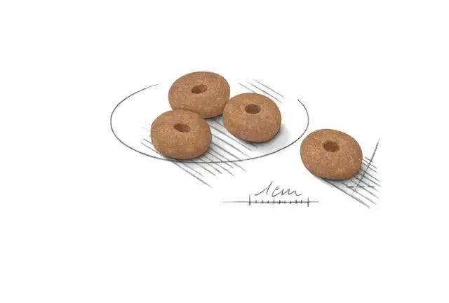 Royal Canin Light Weight Care Mini Adult tørfoder til hund 3 kg