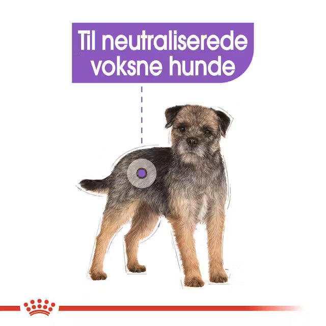 Royal Canin Sterilised wet vådfoder 12x85 g