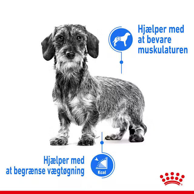 Royal Canin Light Weight Care wet vådfoder 12x85 g