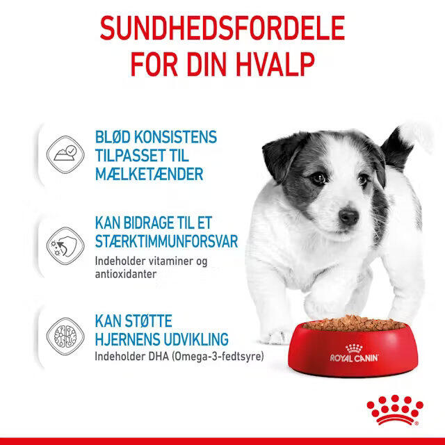 Royal Canin Mini Puppy vådfoder 12x85 g