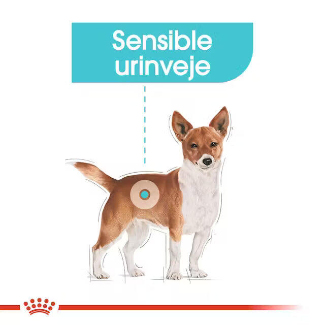 Royal Canin Urinary Care wet vådfoder 12x85 g