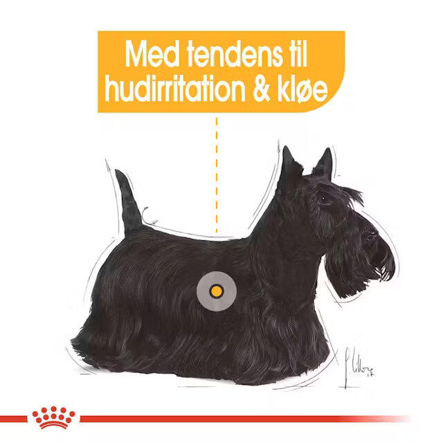 Royal Canin Dermacomfort wet vådfoder 12x85 g