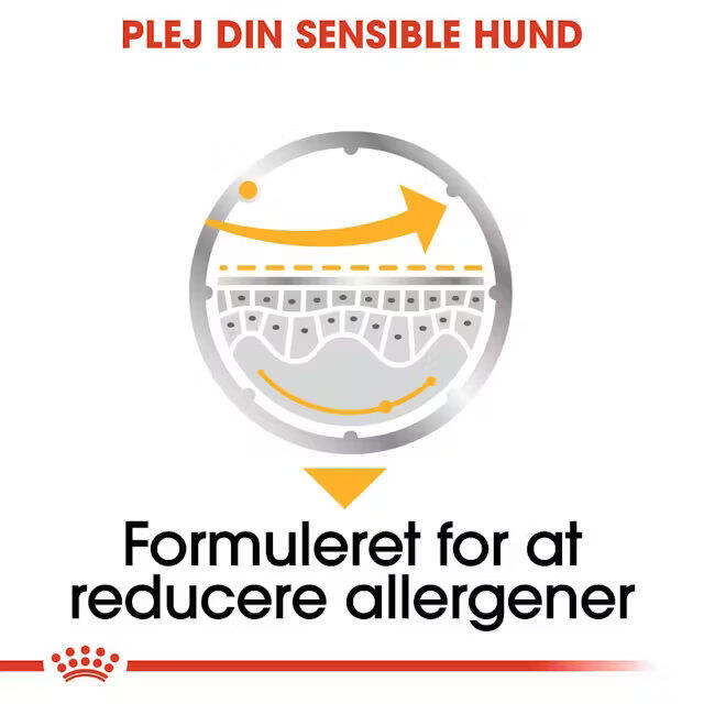 Royal Canin Dermacomfort wet vådfoder 12x85 g