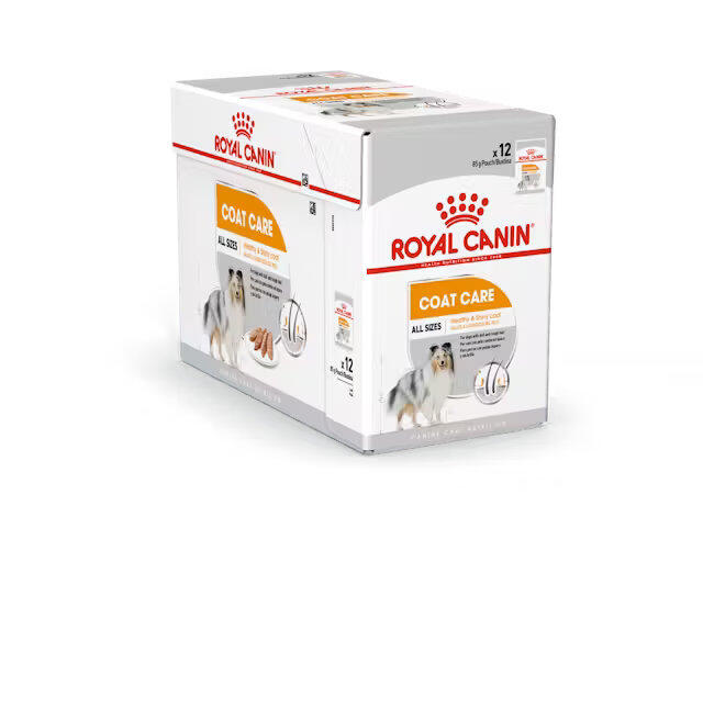 Royal Canin Coat Care wet vådfoder 12x85 g
