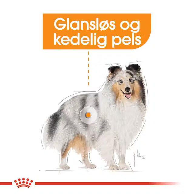 Royal Canin Coat Care wet vådfoder 12x85 g