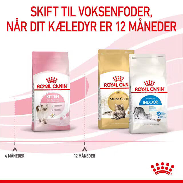 Royal Canin Kat Kitten 2 kg - op til 12 mdr.