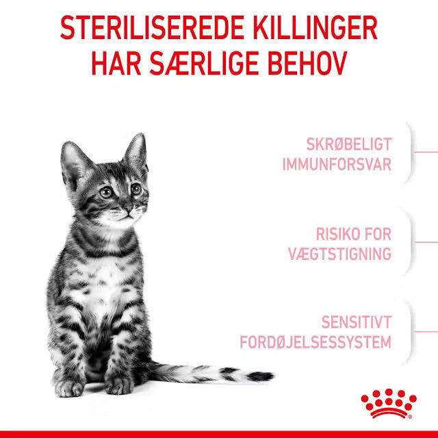 Royal Canin Kat Kitten Sterilised 2 kg