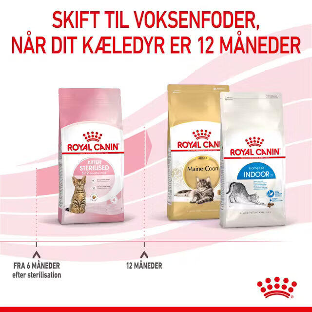 Royal Canin Kat Kitten Sterilised 2 kg