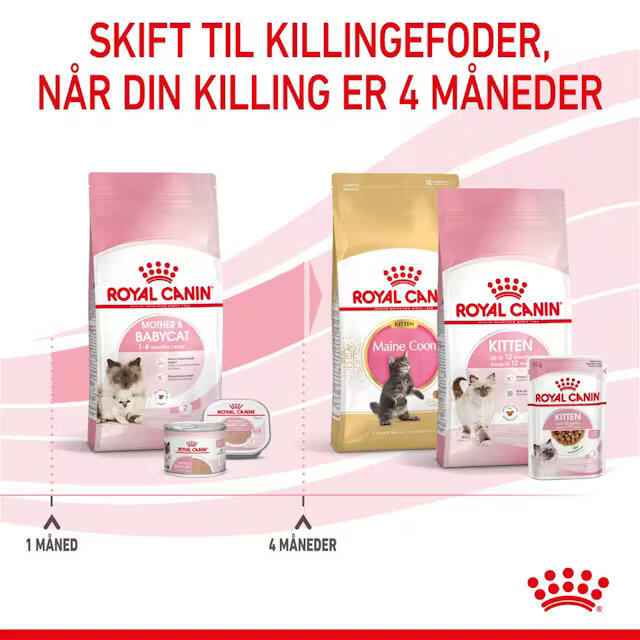 Royal Canin Kat Mother & Babycat 2 kg