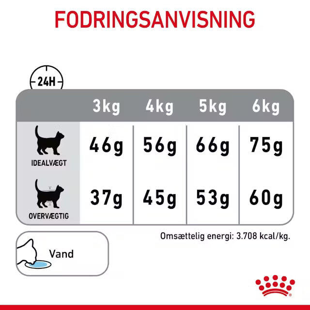 Royal Canin Kat Dental Care 8 kg